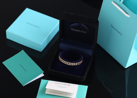 Narrow T True Hinged Bangle Bracelet